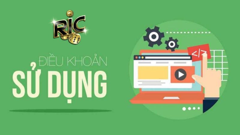 Điều Khoản Sử Dụng Dịch Vụ Mới Nhất Tại Cổng Game Ricwin
